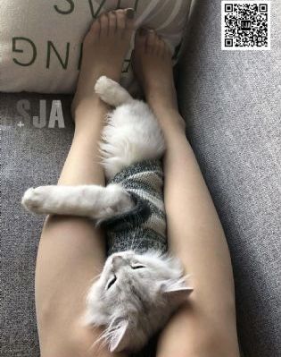 女同bban551在线播放_DVD电影在线观看