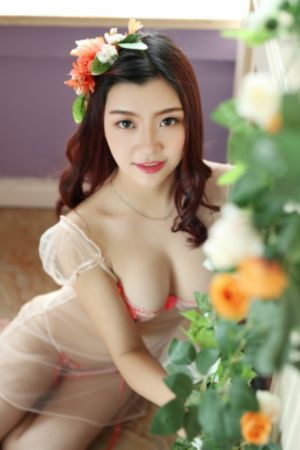特战荣耀电视剧免费观看_1080免费观看最新