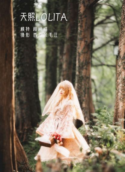 妻中蜜在线观看_在线播放-手机免费播放动漫